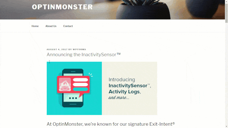 OptinMonster Review for Bloggers: The Best Lead Generation Tool?