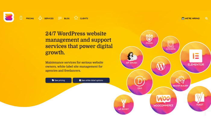 Best WordPress Maintenance and Management Services