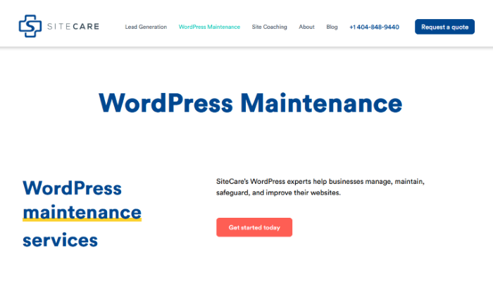 Best WordPress Maintenance and Management Services