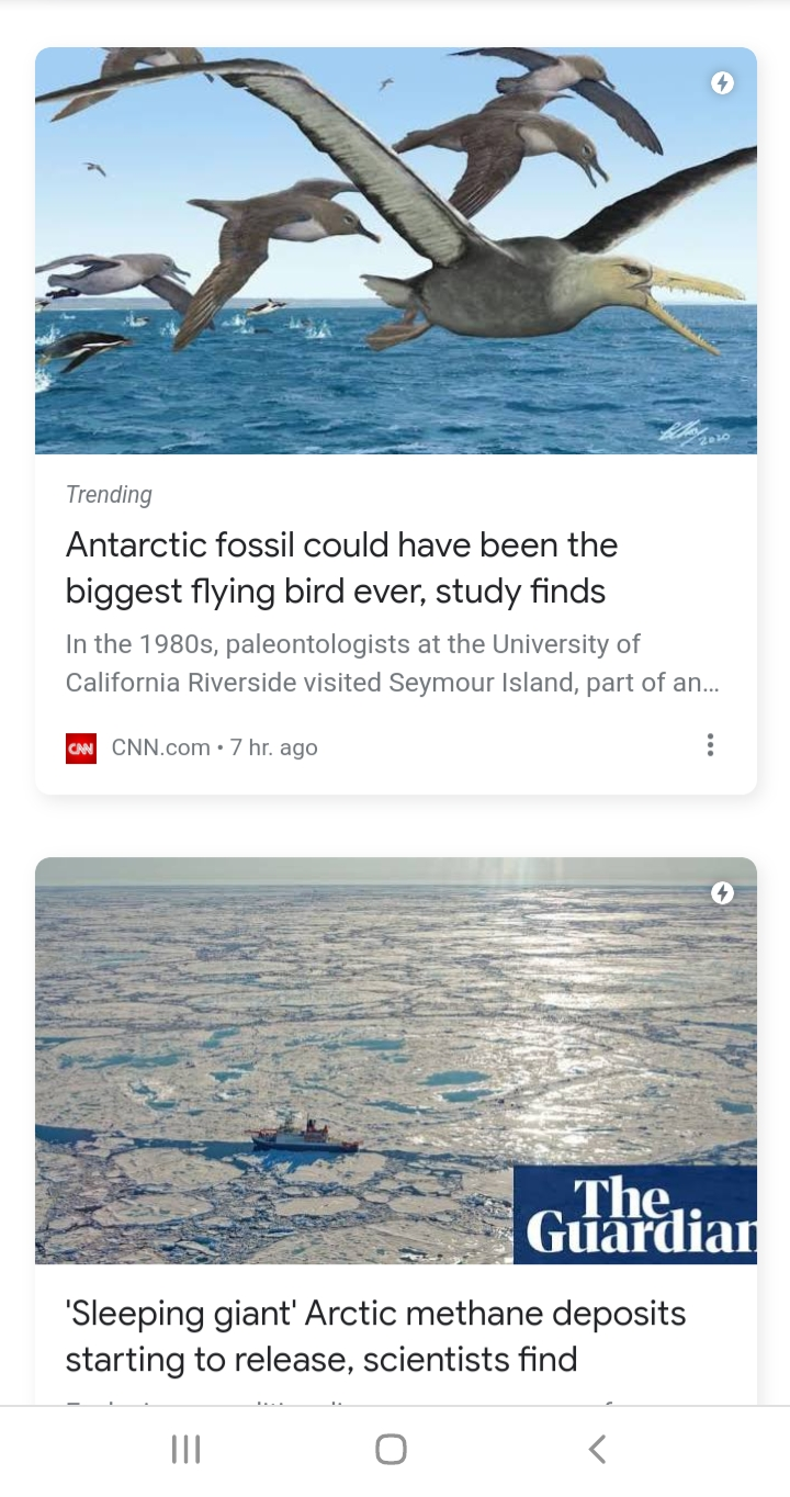 What I Found After Experimenting with Google Discover for Two Months